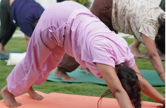 Yoga practice in nature